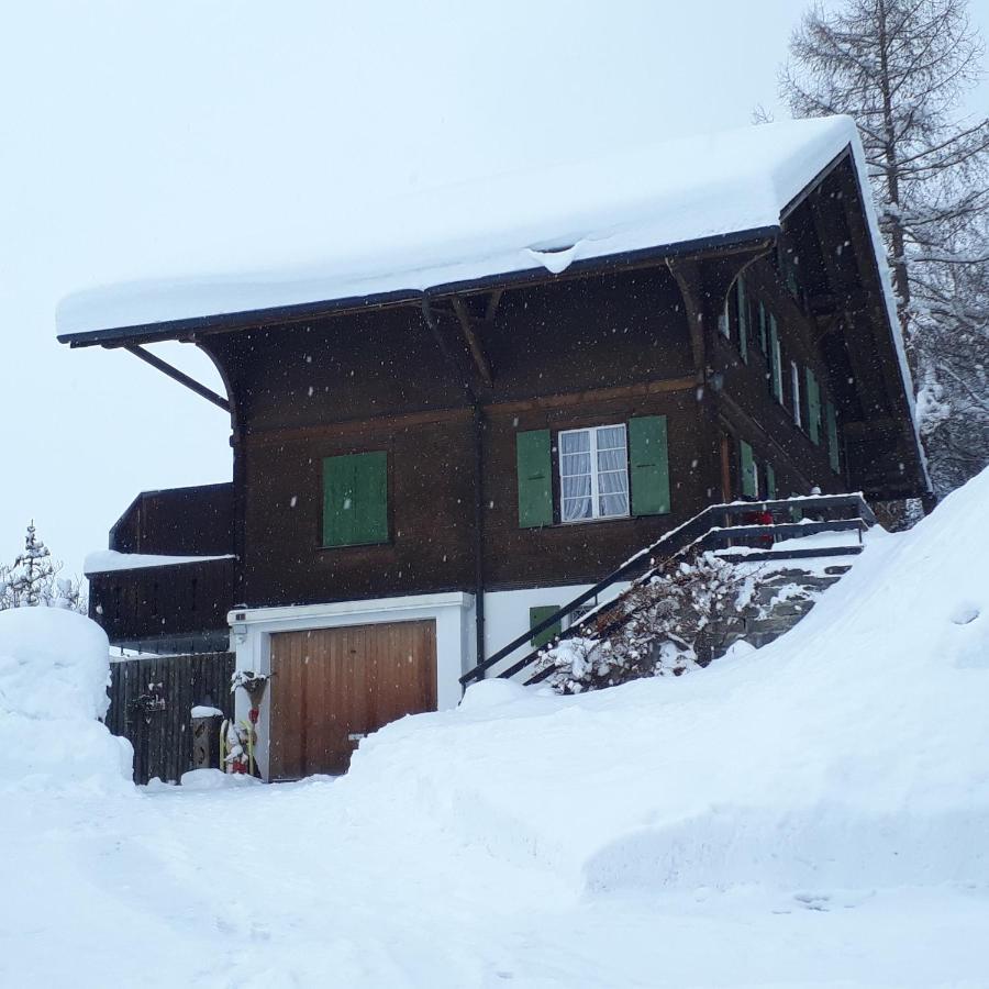 אדלבודן Chalet Gotthelf Gartenstudio, Ferien Mit Hund מראה חיצוני תמונה