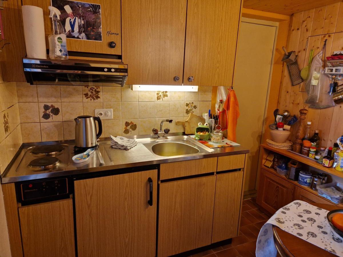אדלבודן Chalet Gotthelf Gartenstudio, Ferien Mit Hund מראה חיצוני תמונה